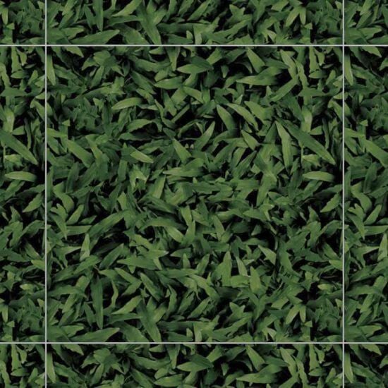 Gạch Đồng Tâm CLG001 40x40 6v/T sân