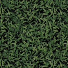Gạch Đồng Tâm CLG001 40x40 6v/T sân