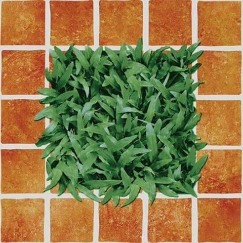 Gạch Đồng Tâm CLG002 40x40 6v/T sân