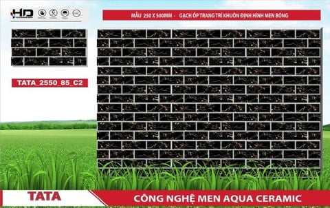Gạch 25x50 BNC 2550_85_C2 trang trí