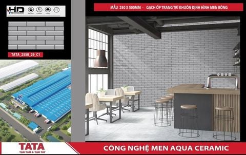 Gạch 25x50 BNC 2550_29_C1 trang trí