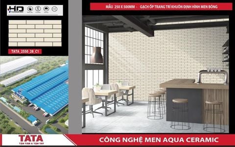 Gạch 25x50 BNC 2550_28_C1 trang trí