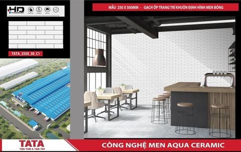 Gạch 25x50 BNC 2550_30_C1 trang trí