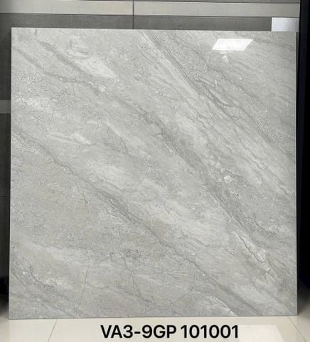 Gạch 100x100 Viglacera VA3-9GP101001