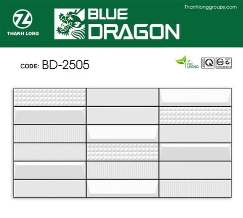Gạch 25x50 Cosevco 2505