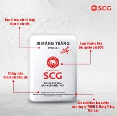 Xi măng trắng SCG