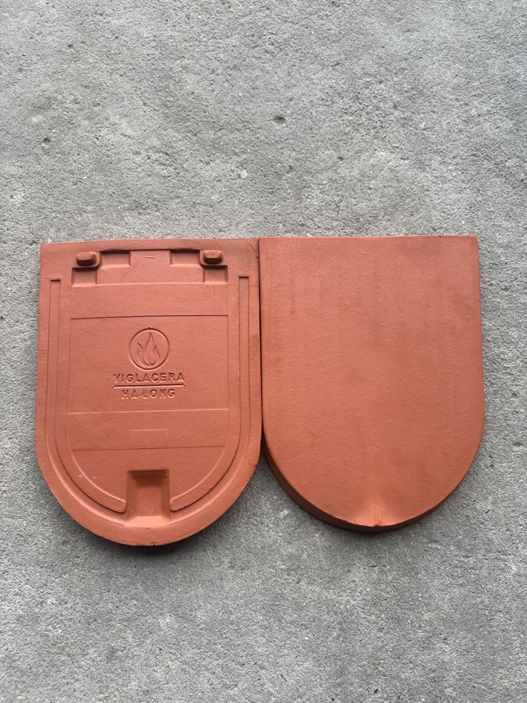 Ngói hài 270 Viglacera Hạ Long