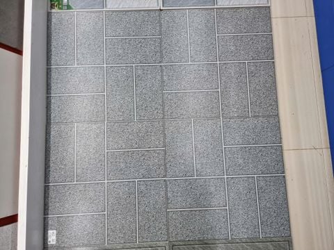 Gạch 50x50 Hacera RBTG5525