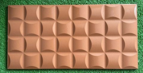 Gạch 25x50 Cosevco GH2518 trang trí