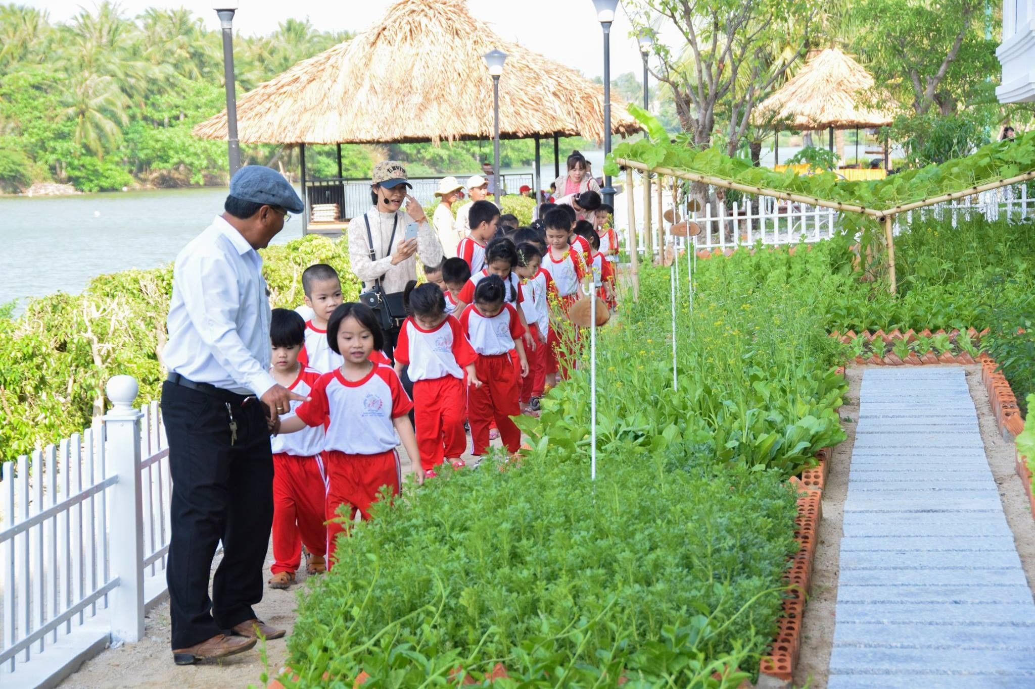 VƯỜN RAU SẠCH CHAM OASIS