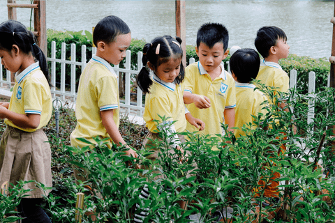  VƯỜN RAU SẠCH CHAM OASIS 