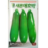 Hạt giống bí xanh Hàn Quốc