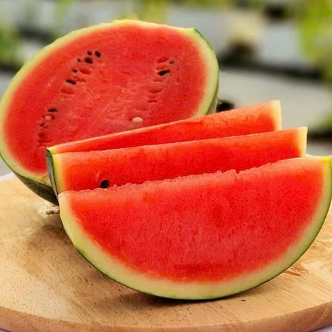 Gói 10 hạt giống dưa hấu Nhật Natsu