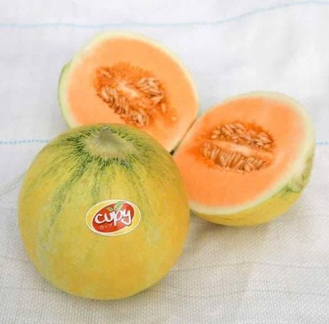 Gói 10 hạt giống dưa lê Cupy siêu ngọt