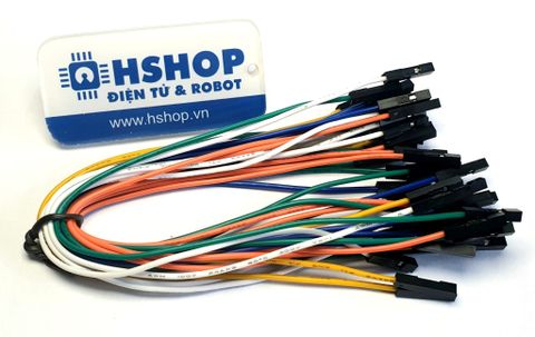 Dây Cắm Breadboard cái cái 20cm bó 25 sợi đơn loại tốt (F-F Jumper Wire)