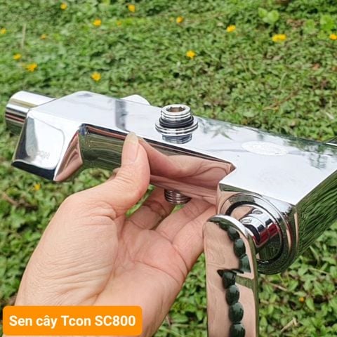 Sen cây Tcon TC-SC800