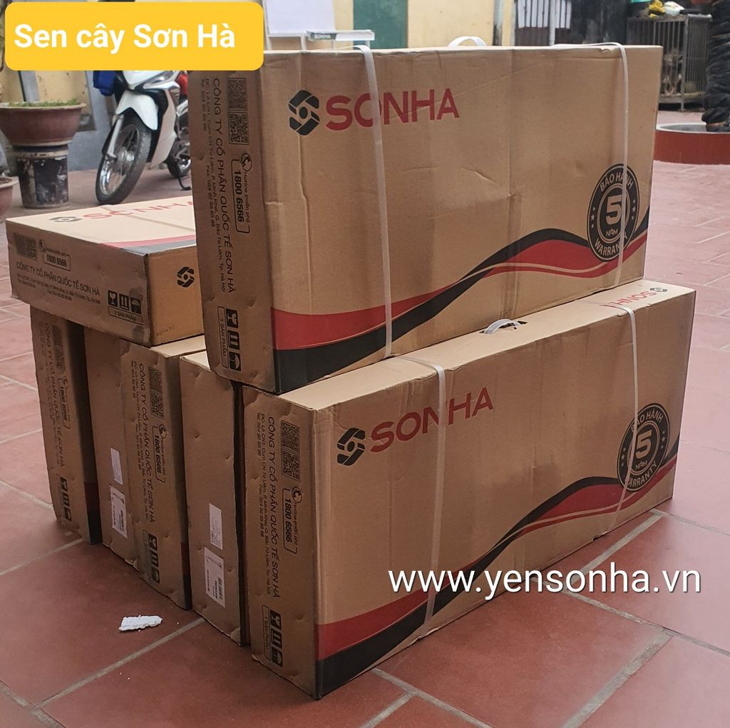 Sen cây nóng lạnh Sơn Hà SHY0040