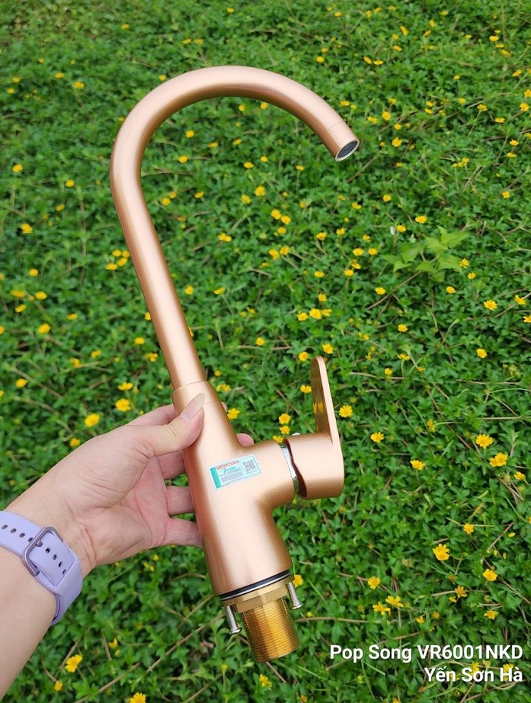 Vòi rửa bát Pop Song VR6001-NKD