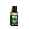  Tinh Dầu Bạc Hà- Pepermint Essential Oil-TD0001 