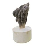  Trầm Cảnh Trầm Trồng TCV01 