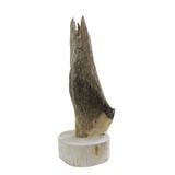  Trầm Cảnh Trầm Trồng TCV01 