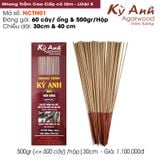  Nhang Trầm Hương NCTN01 