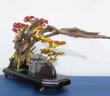  Trầm Cảnh Bonsai TC09 