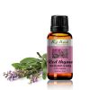  Tinh Dầu Bách Lý Hương- Red Thyme Essential Oil-TD0002 