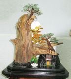  Trầm Cảnh Bonsai TC011 