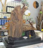  Trầm Cảnh Bonsai TC011 