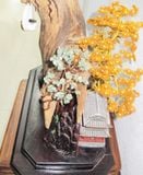  Trầm Cảnh Bonsai TC011 