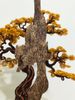 Trầm Cảnh Bonsai TC05