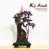  Trầm Cảnh Bonsai TC06 