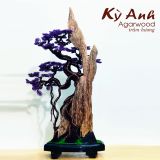  Trầm Cảnh Bonsai TC06 