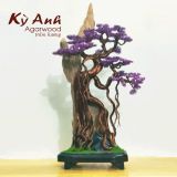  Trầm Cảnh Bonsai TC06 