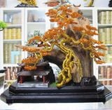  Trầm Cảnh Bonsai TC011 