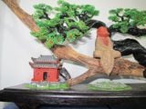  Trầm Cảnh Bonsai TC10 