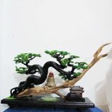  Trầm Cảnh Bonsai TC10 