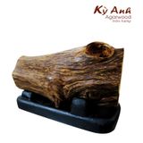  Tượng Phật Xe Hơi TP-016 