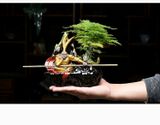  Thác khói Tôn Ngộ Không  T221105 