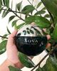 Nước hoa nam Aqva Pour Homme của hãng BVLGARI - 100ml