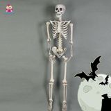  Trang trí Halloween bộ xương khô trắng 