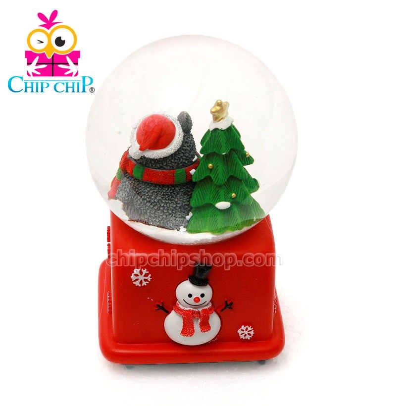  Cầu nước totoro +thông 