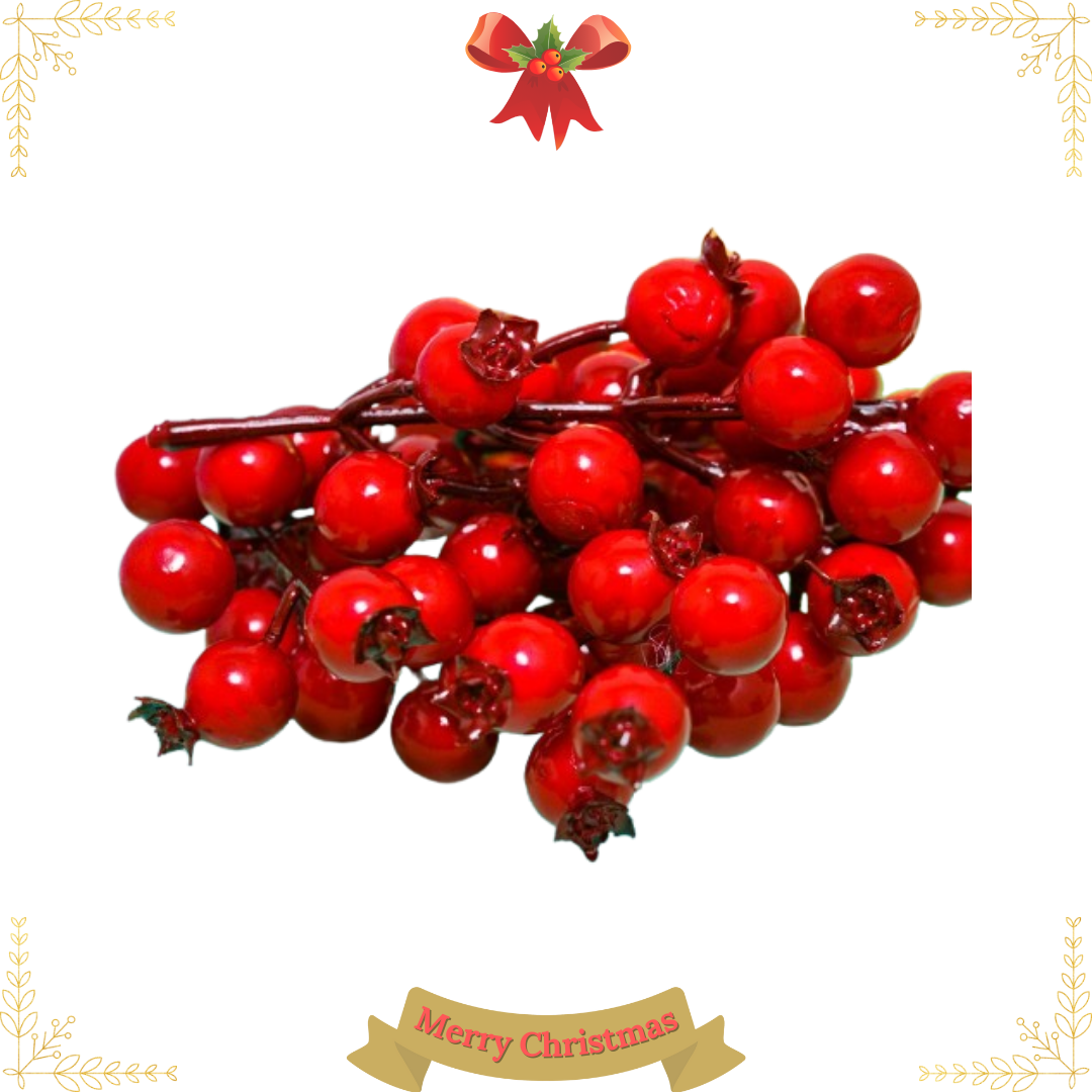  Trái Lựu Đỏ Trang Trí Noel 