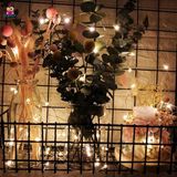  Dây đèn trang trí Noel dùng pin 