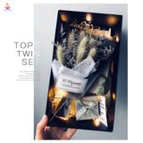  Dây đèn trang trí Noel dùng pin 