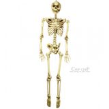 xương người halloween - lớn  1m8 