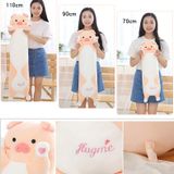  Gối ôm heo hug me 4 size 