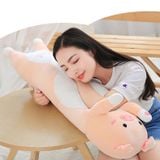  Gối ôm heo hug me 4 size 