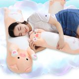  Gối ôm heo hug me 4 size 